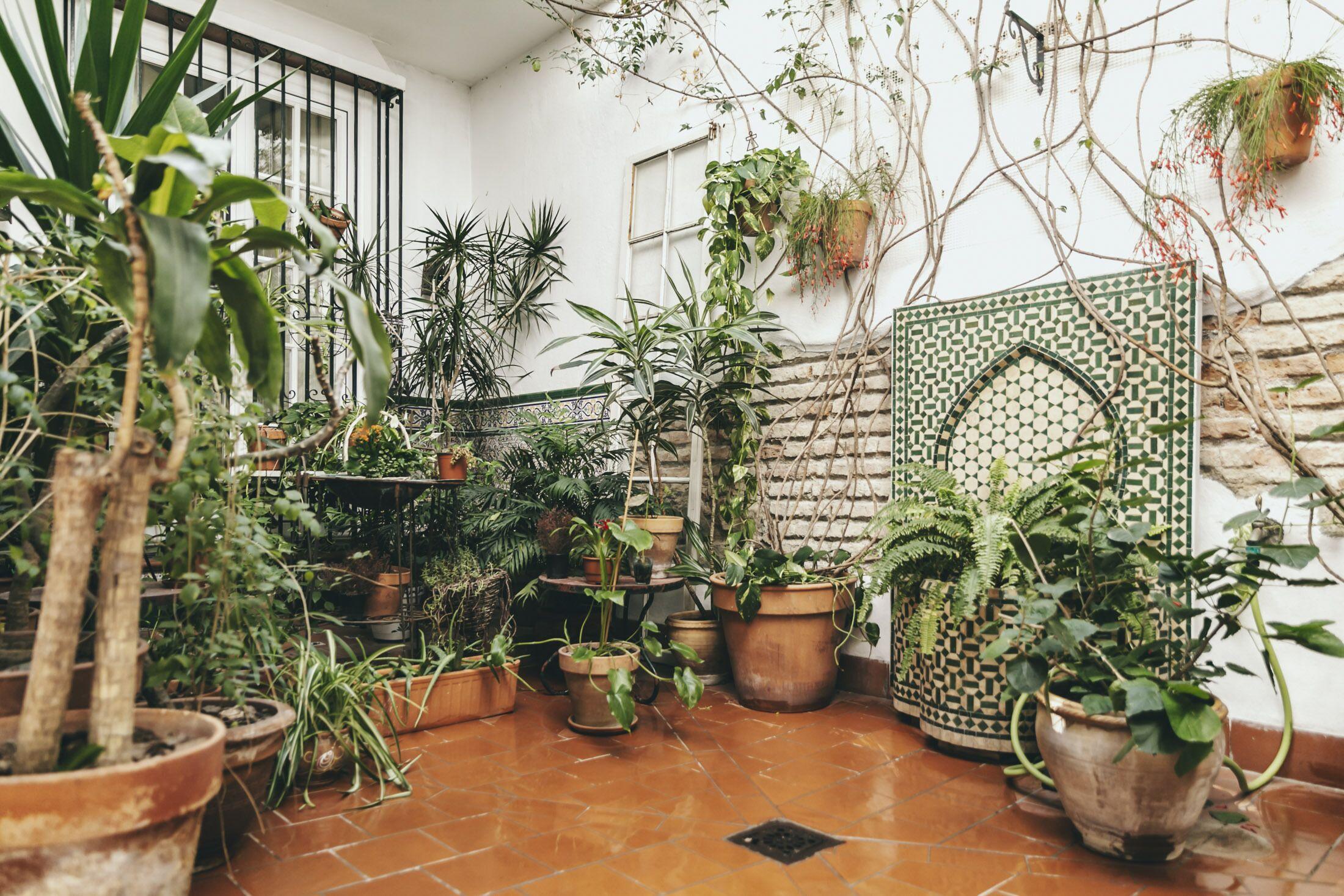 El Riad Andaluz — Photos 1